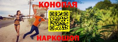 прущие грибы Краснознаменск