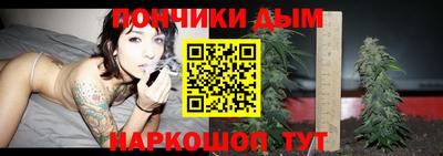 прущие грибы Краснознаменск